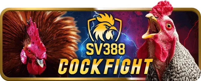 Cá cược thể thao trên ứng dụng di động AE388CLUB